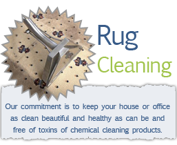 Rug Steam Cleaning