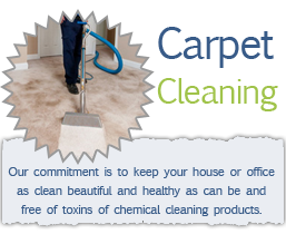Carpet Steam Cleaning